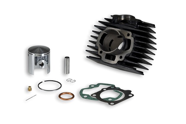 cilinder malossi Honda 45.5mm camino, px 313642