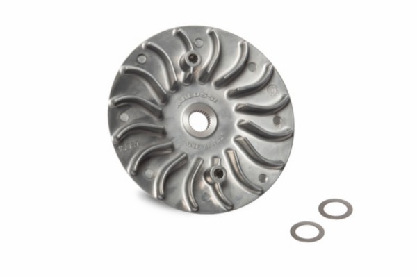 koelvin malossi vario euro-3/4/5 adv150, forza, sh 125/150 6119155