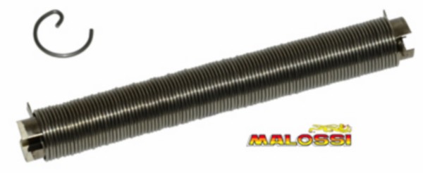 borgveer malossi pistonpen mod. G 10mm 1 stuks 366941