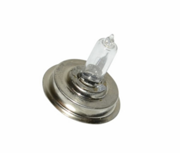 lamp 12V halogeen 15W + kraag p26s