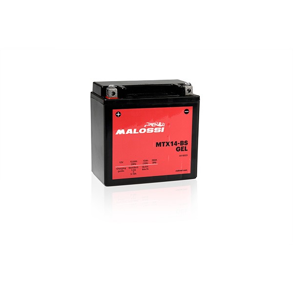 accu malossi MTX14-BS gel beverly, gts, mp3 4418923