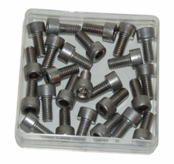 bout inbus m6x12mm rvs 25pcs