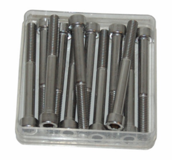 bout inbus m6x60mm rvs 12pcs