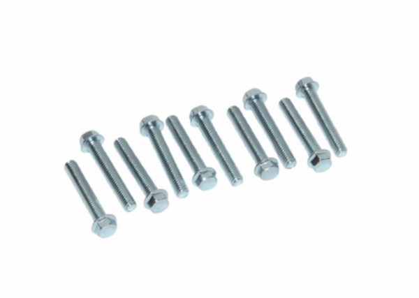 carter bout flens m6x25mm 10pcs