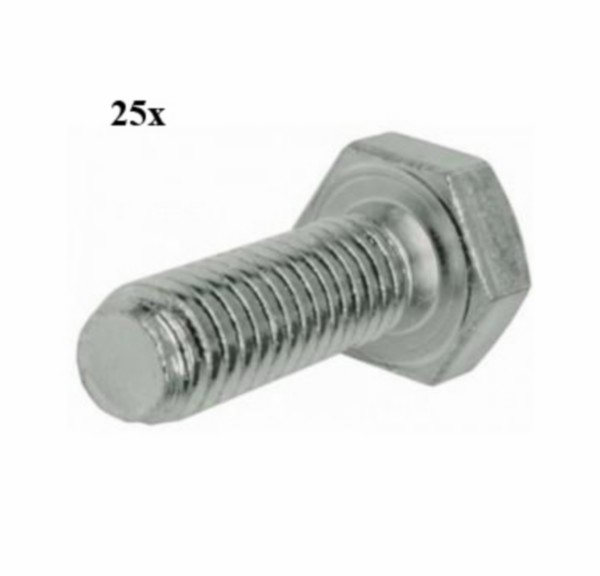 bout zeskant m5x30mm 25pcs