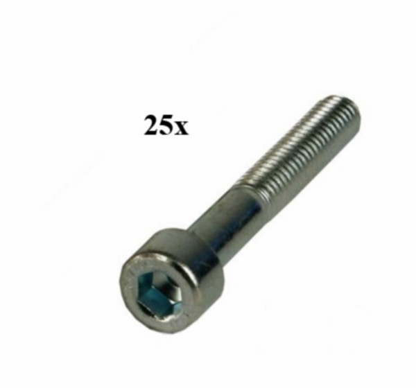 bout inbus m6x25mm 25pcs