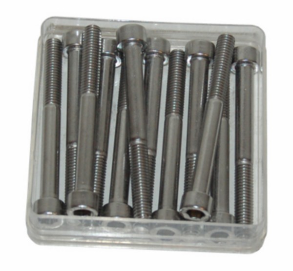 bout inbus m6x55mm 12pcs