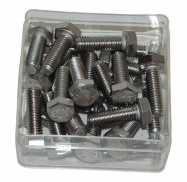 bout zeskant m8x25mm rvs 25pcs