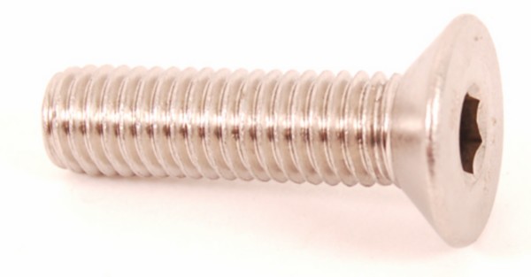 bout remschijf inbus verzonken m8x30mm 10pcs