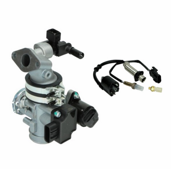 injectie DMP systeem compleet (zonder ECU) rongmao