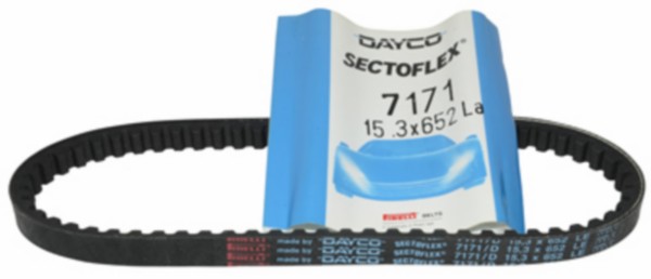 v-snaar dayco/pirelli 15.3x652 rapido, st, vision met-in 7171