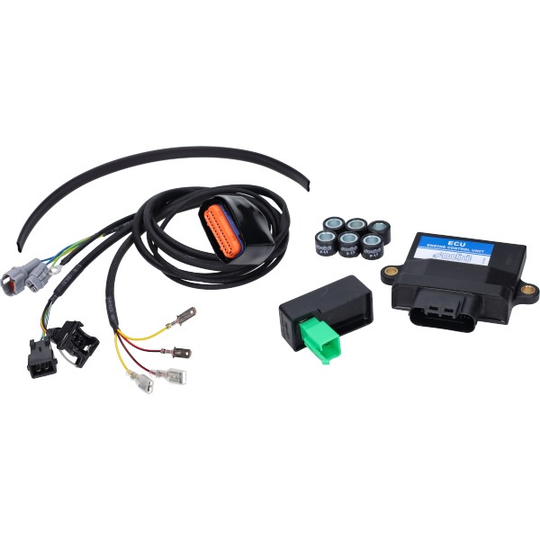 ECU unitset polini euro-5 kisbee 4t, peugeot 171.0021