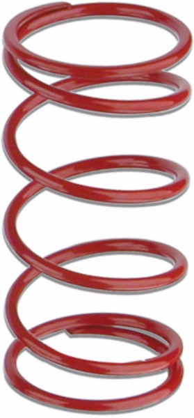 koppelingdrukveer malossi 4.1 rood minarelli hor+vert 297046.r0