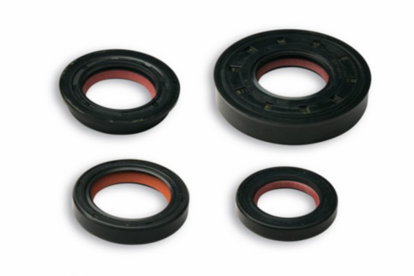 keerringset malossi minarelli hor+vert 6619160