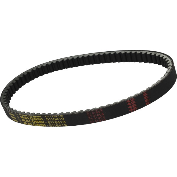 v-snaar malossi Yamaha cygnus 125 4t 6116419