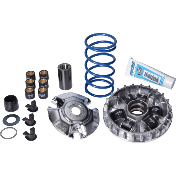 variokit polini + veer 19x17mm gts 125cc, liberty 125cc, primavera 150 4t, sprint 150 4t 241.710