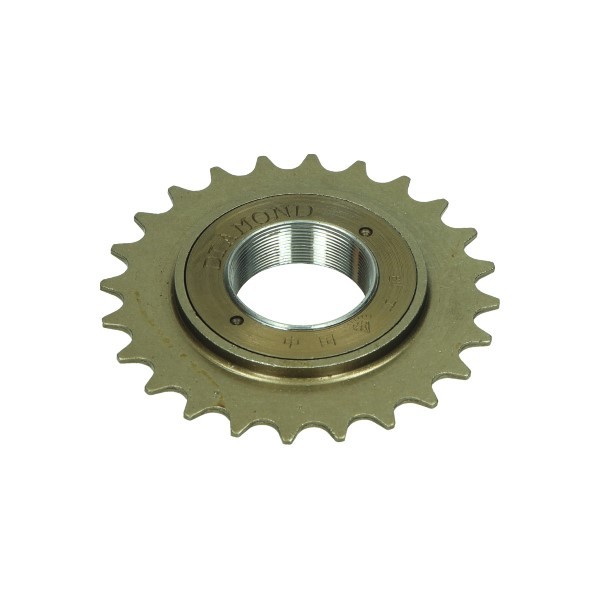 freewheel 24t maxx