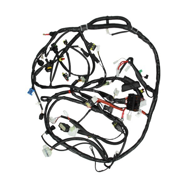 kabelboom Piaggio origineel (halogeen) primavera 4t [euro4], sprint 4t (euro4) 1d002339