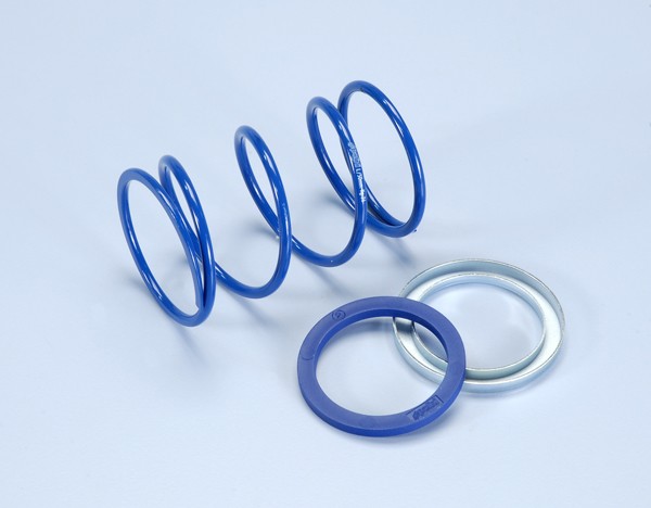 koppelingdrukveer polini set evo slider - 30% 3.9 primavera euro-5, sco piaggio, sco piaggio 2t, sco piaggio 4T, sprint 243.090