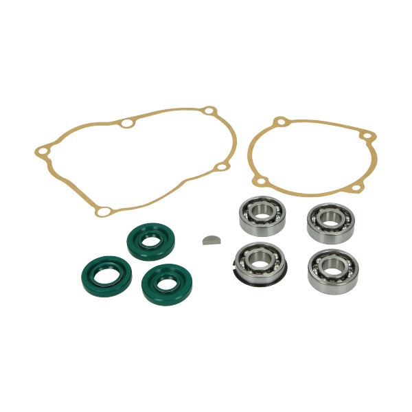 lager+keerringset DMP complete motor o.t. 10-delig puch maxi