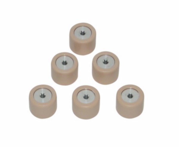variorolset Piaggio origineel 19x15.5mm 7,5 gram fly 2t, lx 2t, lxv 2t, nrg, runner, typhoon, vespa S 2t, zip2000 cm1102015