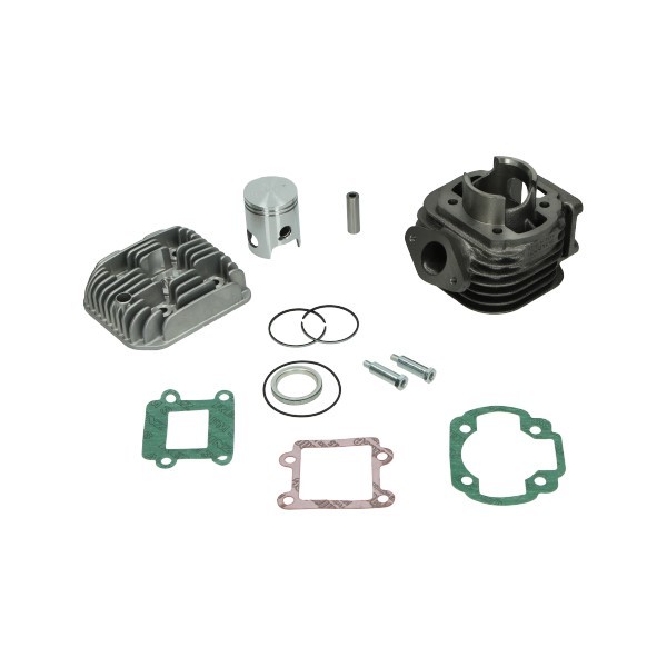 cilinder met kop malossi 40mm minarelli vert 316901