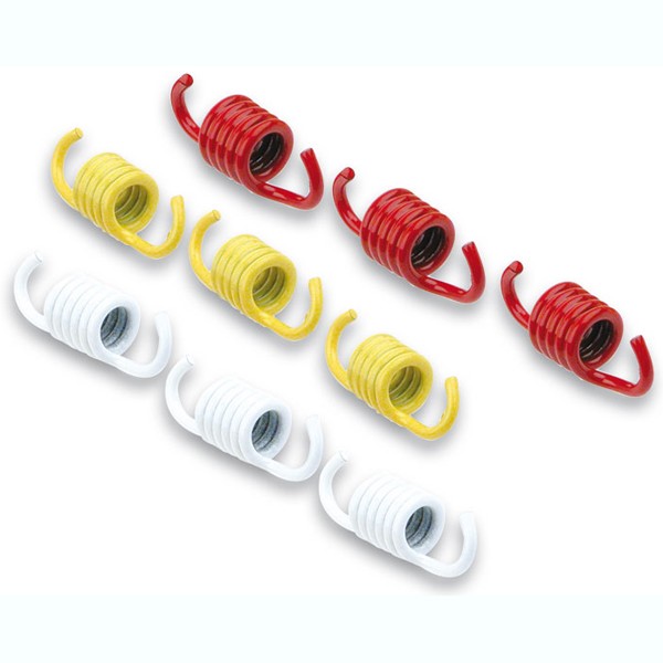trekveer malossi set koppeling 100cc 9-delig viva 2911325
