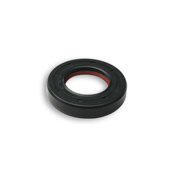 keerring malossi krukas 20x35x7 gpr 6618798b