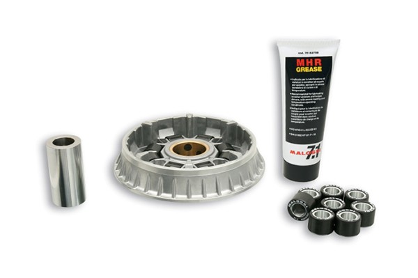 variokit malossi gp800, srv850 5116230