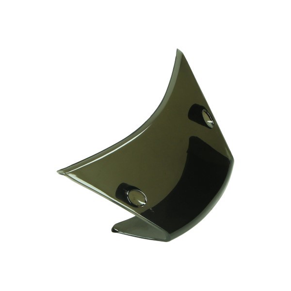 achterlichtglas DMP smoke zip2000