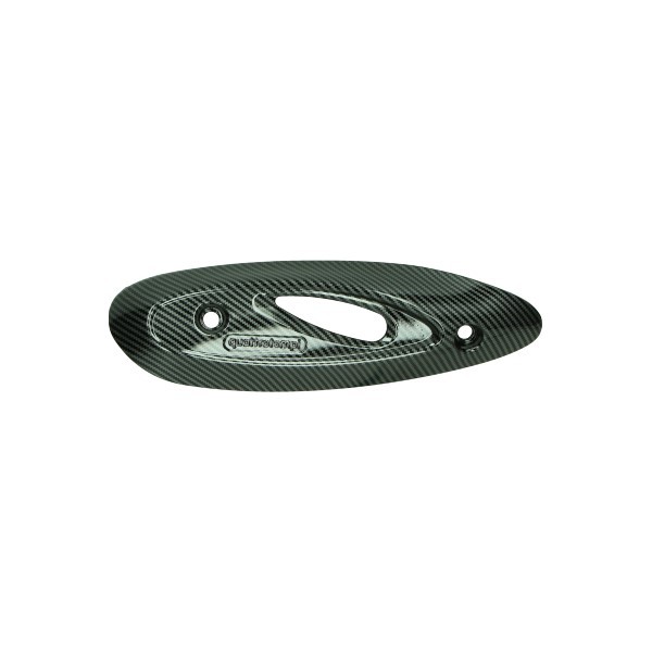 hitteschild uitlaat euro-2 carbon zip 4t