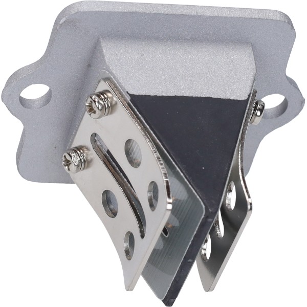 membraan BGM sco piaggio 2t bgm2510
