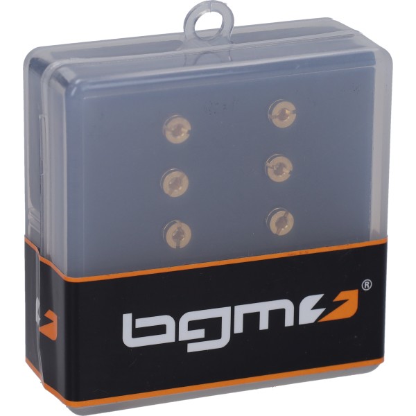stationairsproeier BGM set dellorto (11600) 30-52 Pro 10-delig 7671256
