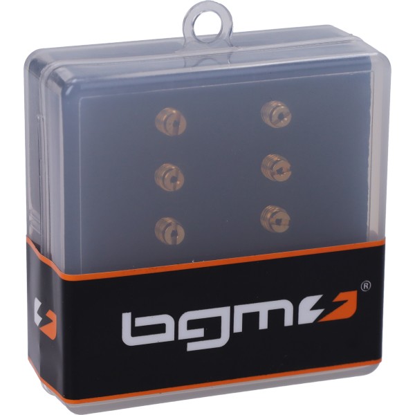 stationairsproeier BGM set mikuni (VM22/210) 15-37,5 Pro 10-delig 2599130