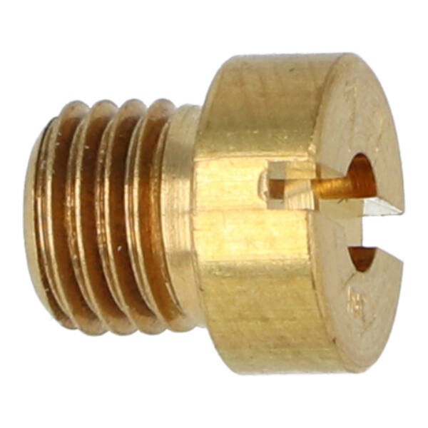 sproeier dellorto groot 6mm 78
