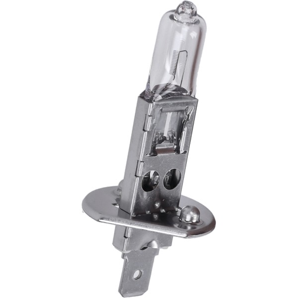 lamp 12V flosser 55W h1