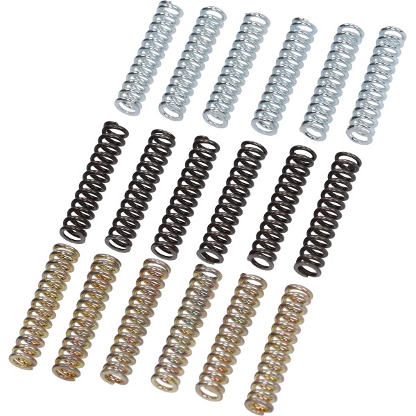 koppelingveerset malossi 18-delig ak550, t-max530, t-max560 2915602