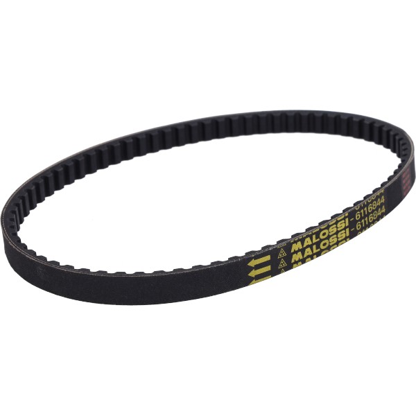 v-snaar malossi 18.4x8x785mm sr2000 ditech, symphony, symphony st 6116844