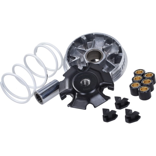 variokit malossi Euro-5+ gts 310 5120216